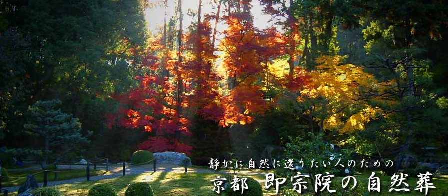 即宗院の樹木葬 自然苑（じねんえん）